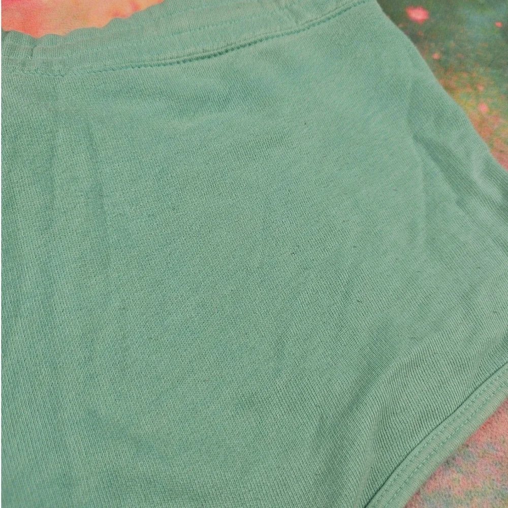 Hollister HCO 1922 Turquoise Blue Sweat Shorts Drawstring Waist Loungewear - Picture 4 of 7